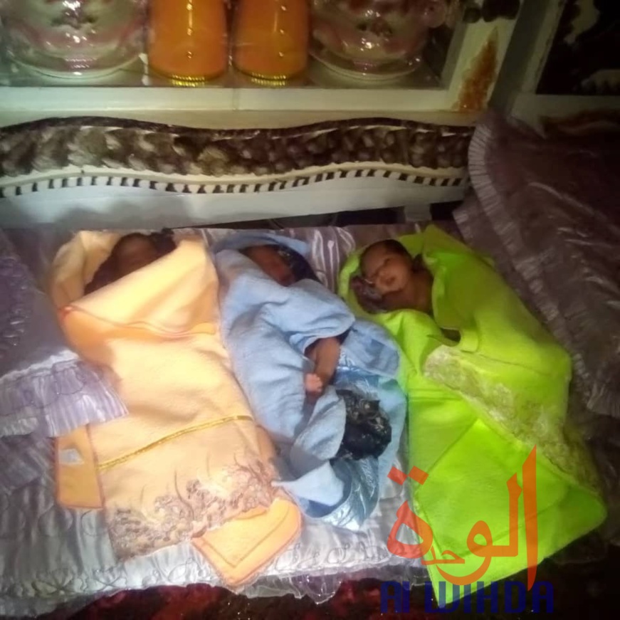 Tchad : la FGC porte assistance à la famille de 3 nouveau-nés à l'Est. © Abba Issa/Alwihda Info Tchad : la FGC porte assistance à la famille de 3 nouveau-nés à l'Est. © Abba Issa/Alwihda Info