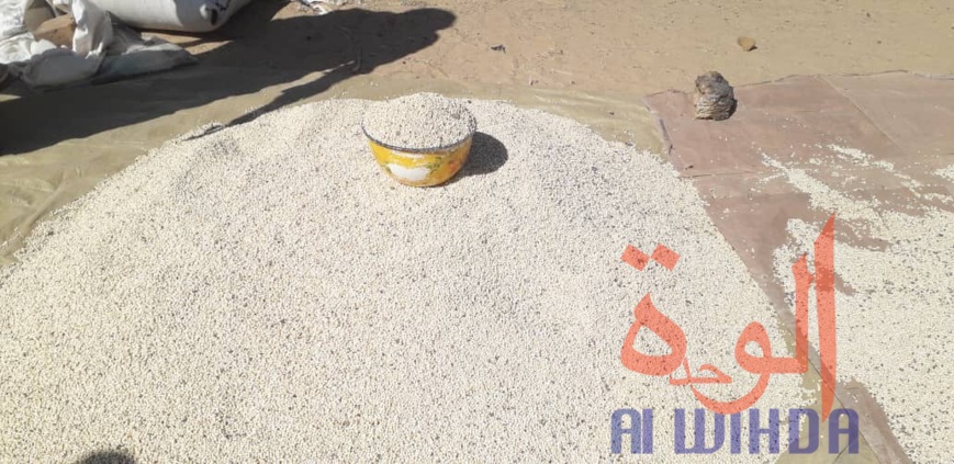 Tchad : Linia, un véritable axe commercial en manque de modernité. © Djibrine Haïdar/Alwihda Info