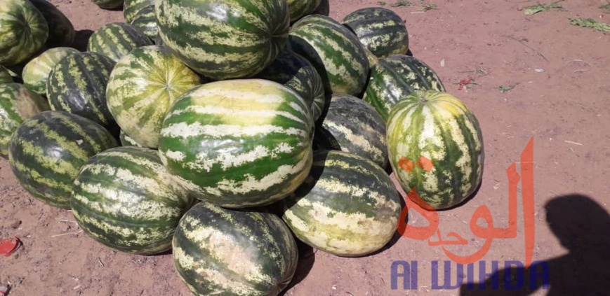 Tchad : Linia, un véritable axe commercial en manque de modernité. © Djibrine Haïdar/Alwihda Info Tchad : Linia, un véritable axe commercial en manque de modernité. © Djibrine Haïdar/Alwihda Info