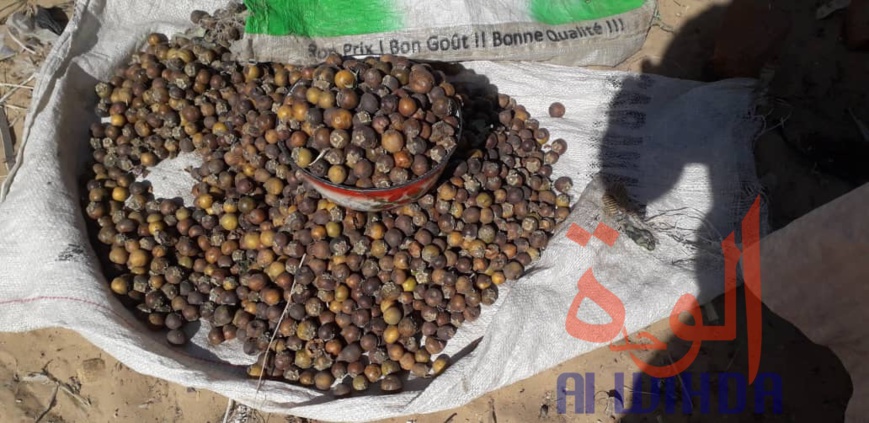 Tchad : Linia, un véritable axe commercial en manque de modernité. © Djibrine Haïdar/Alwihda Info