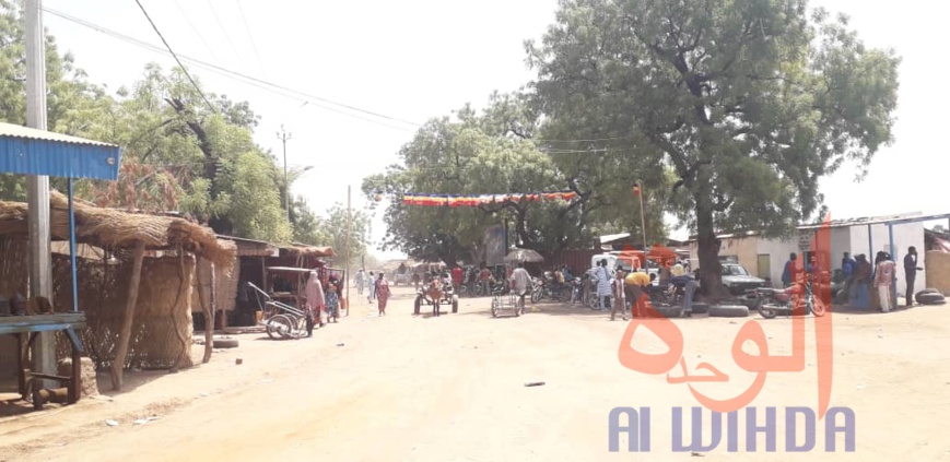 Tchad : Laï, capitale de l'or blanc, un potentiel énorme malgré l'enclavement. © Éric Guedi/Djibrine Haïdar/Alwihda Info