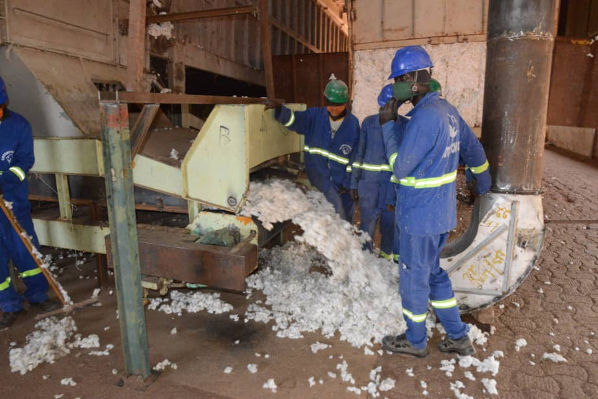 Tchad : 3,24 milliards Fcfa de subvention aux cotonculteurs. © PR Tchad : 3,24 milliards Fcfa de subvention aux cotonculteurs. © PR