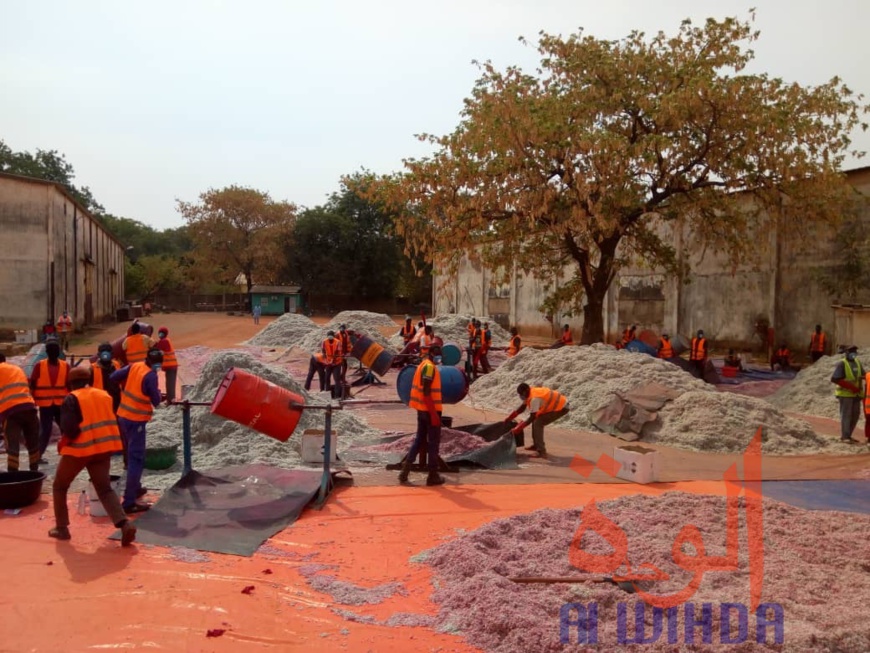 Tchad : la ministre du commerce visite les unités industrielles de Moundou