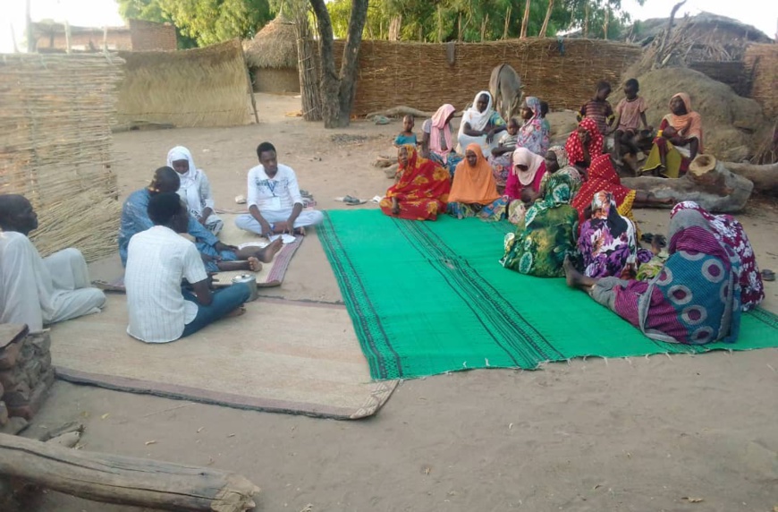 Tchad : au Guéra, des villageois sensibilisés sur la coupe abusive des arbres. © Adam Ibrahim/Alwihda Info