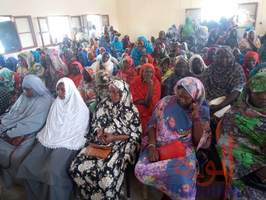 Tchad : des femmes formées sur les activités génératrices de revenus à Mongo Tchad : des femmes formées sur les activités génératrices de revenus à Mongo