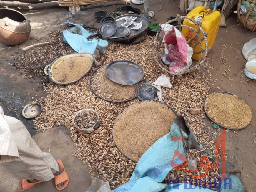 Tchad : un incendie ravage 417 cases dans un village à l'Est. © Alwihda Info Tchad : un incendie ravage 417 cases dans un village à l'Est. © Alwihda Info