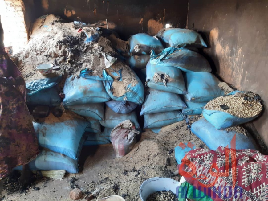 Tchad : un incendie ravage 417 cases dans un village à l'Est. © Alwihda Info