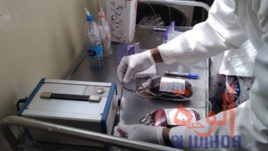 Des tchadiens donnent leur sang pour les militaires blessés au Lac. © Djibrine Haïdar/Alwihda Info