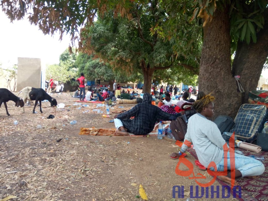 Tchad - Covid-19 : des conditions difficiles pour les étudiants confinés à Koutéré Tchad - Covid-19 : des conditions difficiles pour les étudiants confinés à Koutéré