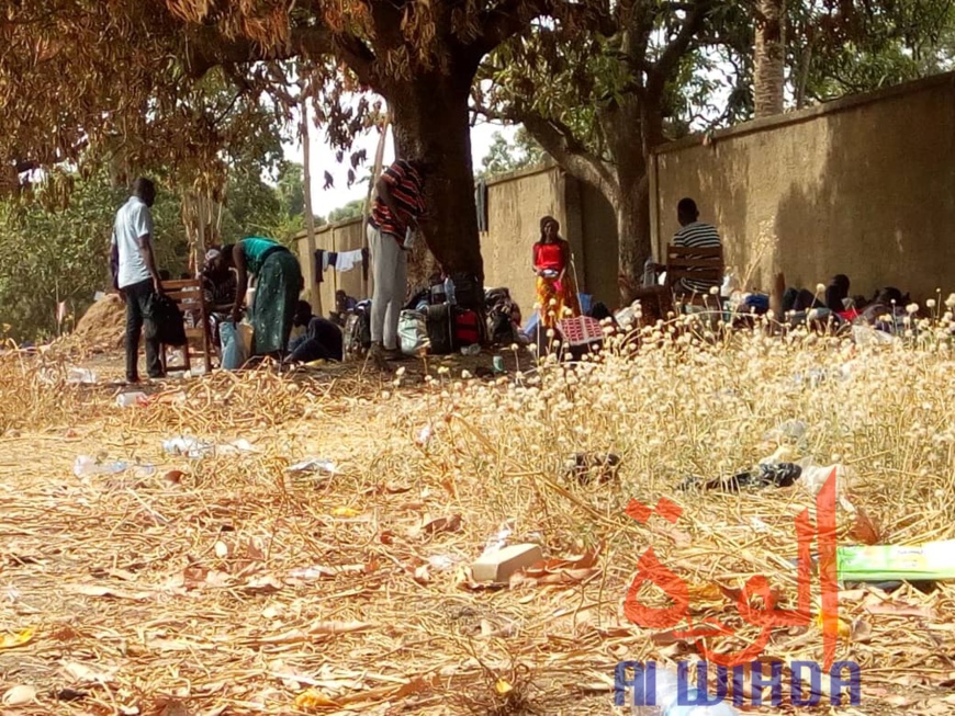 Tchad - Covid-19 : des conditions difficiles pour les étudiants confinés à Koutéré