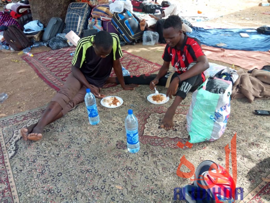 Tchad - Covid-19 : des conditions difficiles pour les étudiants confinés à Koutéré