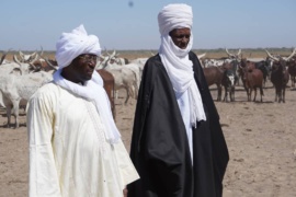 Tchad - Coronavirus : Wadi Koundi revoit tout ses prix à la baisse. © DR/Wadi Koundi Tchad - Coronavirus : Wadi Koundi revoit tout ses prix à la baisse. © DR/Wadi Koundi