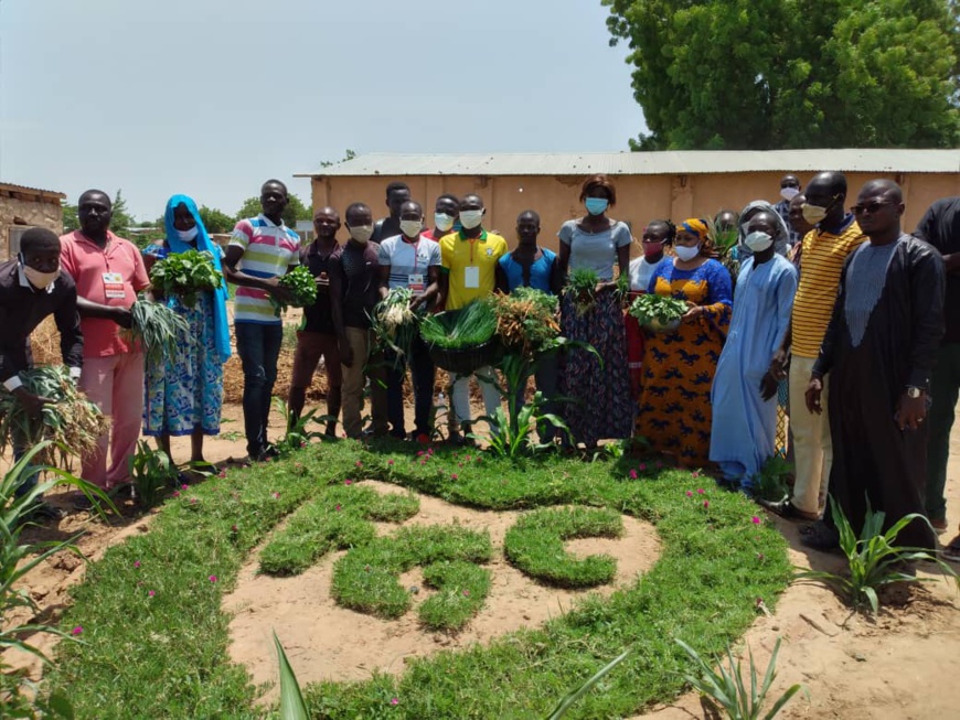 Tchad : culture maraichère, des projets agricoles portent leurs fruits à N'Djamena
