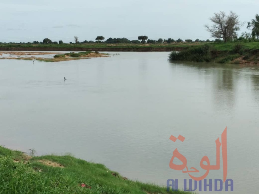 Les rives du fleuve Chari à Mandjafa, dans le 7ème arrondissement de N'Djamena, le 14 juillet 2020. © Malick Mahamat/Alwihda Info Les rives du fleuve Chari à Mandjafa, dans le 7ème arrondissement de N'Djamena, le 14 juillet 2020. © Malick Mahamat/Alwihda Info