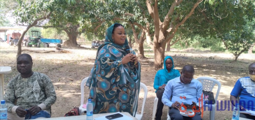 Tchad : Le Aya Boot Camp aura bien lieu en novembre prochain Tchad : Le Aya Boot Camp aura bien lieu en novembre prochain