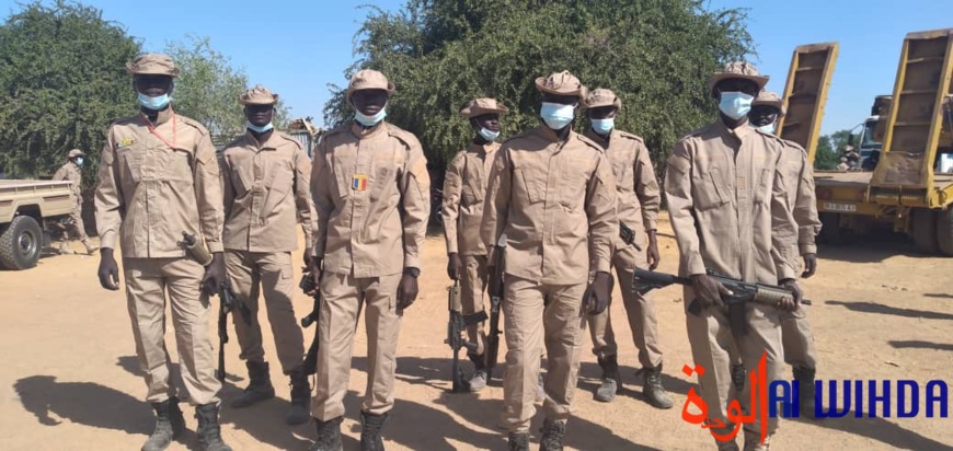 Tchad : des produits illicites saisis par les services des douanes Tchad : des produits illicites saisis par les services des douanes