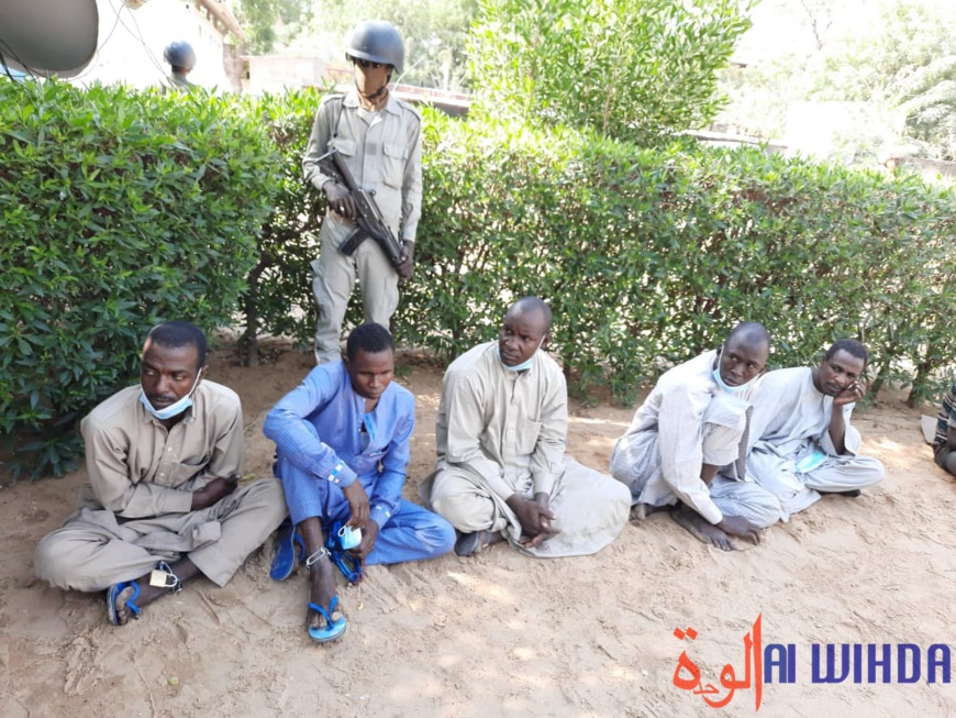 Tchad : la Police nationale arrête 10 présumés malfrats Tchad : la Police nationale arrête 10 présumés malfrats