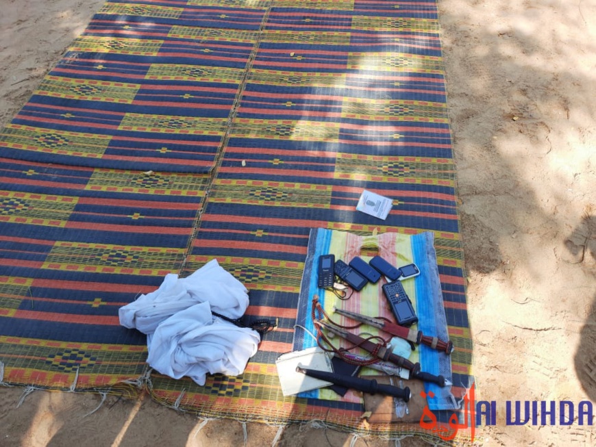 Tchad : la Police nationale arrête 10 présumés malfrats Tchad : la Police nationale arrête 10 présumés malfrats