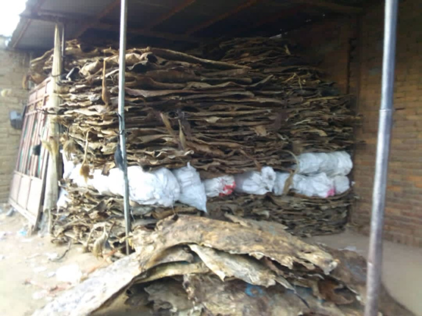 Exportation des peaux d'animaux, le Tchad est un grand perdant