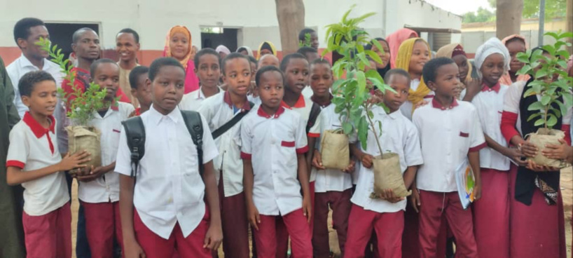 Tchad : House of Africa au cœur de l'action environnementale