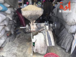 Tchad : la pauvreté et l'insécurité alimentaire gagnent du terrain