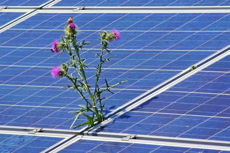 Transitions énergétiques : des perspectives de croissance pour l'économie mondiale Transitions énergétiques : des perspectives de croissance pour l'économie mondiale