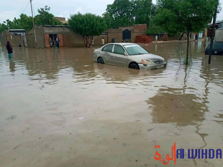 Tchad : une forte pluie et des dégâts à N'Djamena Tchad : une forte pluie et des dégâts à N'Djamena