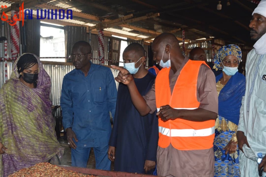 Tchad : le fonds de l'entrepreneuriat des jeunes en appui au secteur privé Tchad : le fonds de l'entrepreneuriat des jeunes en appui au secteur privé