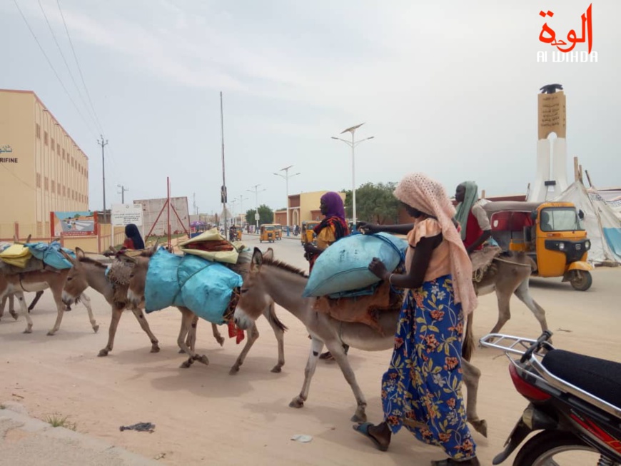 Tchad : la vente du charbon de bois au vu et au su de tous à l'Est