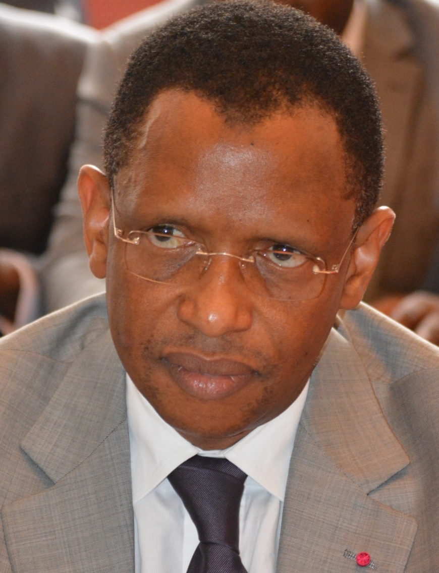 Cameroun : le RDPC dans l'Adamaoua, un architecte de la démocratie locale Cameroun : le RDPC dans l'Adamaoua, un architecte de la démocratie locale