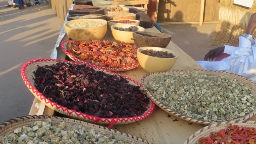 Tchad : la richesse culturelle du Sila s'invite au Festival Dary Tchad : la richesse culturelle du Sila s'invite au Festival Dary