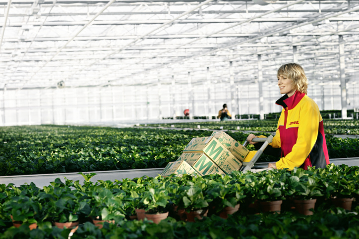 Le secteur de l'agroalimentaire est sur le point d'exploser en Afrique, affirme DHL‏