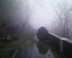 Cyclone-La Réunion : L'unique tchadien de l’Île, indemne, témoigne Cyclone-La Réunion : L'unique tchadien de l’Île, indemne, témoigne