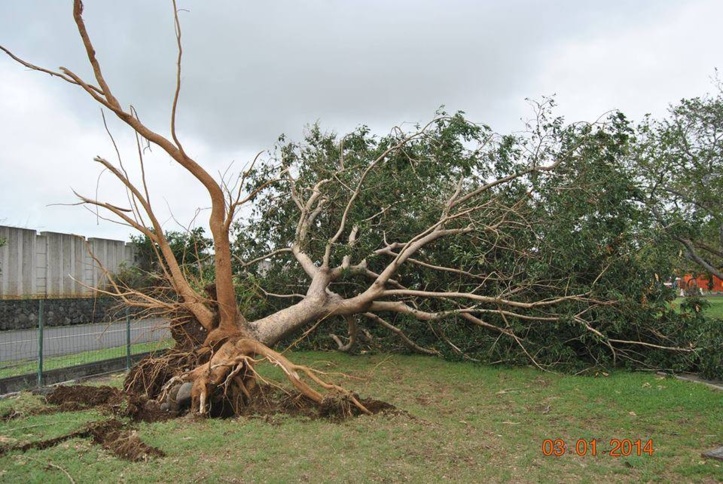 Crédit photos : Mahamat Bachar Tyara pour Alwihda Info. Crédit photos : Mahamat Bachar Tyara pour Alwihda Info.