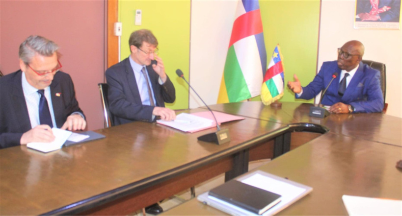 Centrafrique : l'Union européenne veut aider le pays à lutter contre la déforestation