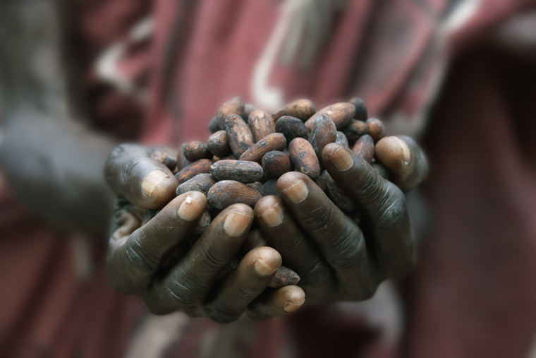 Crédit photo : Sources