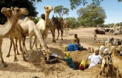 Afrique - Faim - Santé : Le changement climatique exacerbent l'insécurité alimentaire et la propagation des maladies en Afrique Afrique - Faim - Santé : Le changement climatique exacerbent l'insécurité alimentaire et la propagation des maladies en Afrique