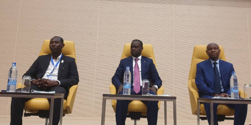 Tchad : la gouvernance de l'internet au centre d'un forum national