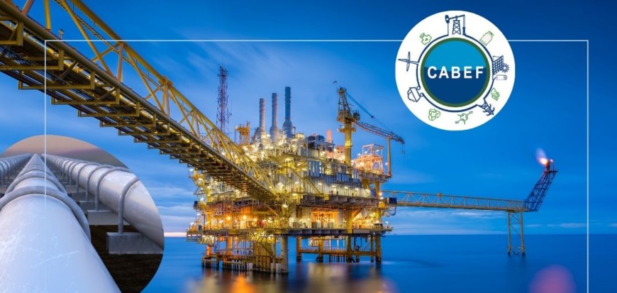 CABEF : vision et objectif d’une plateforme d’Afrique centrale