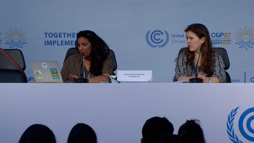 "Les dirigeants africains doivent défendre les populations du continent qui souffrent des dommages climatiques" "Les dirigeants africains doivent défendre les populations du continent qui souffrent des dommages climatiques"