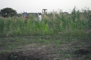 Tchad - Immobilier: Louer, acheter, vendre