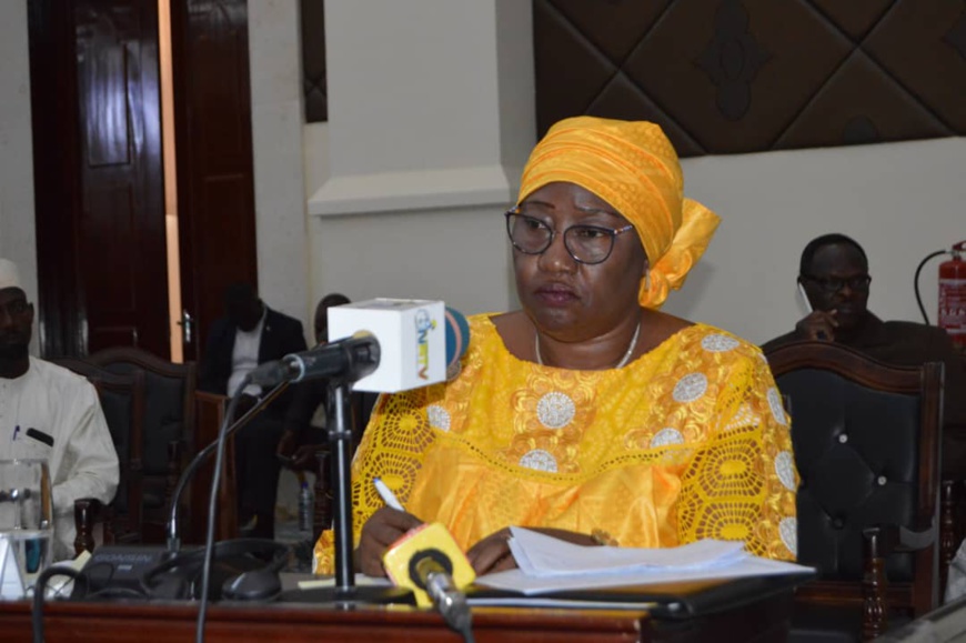 Tchad : le CNT approuve la loi-cadre sur les zones économiques spéciales Tchad : le CNT approuve la loi-cadre sur les zones économiques spéciales