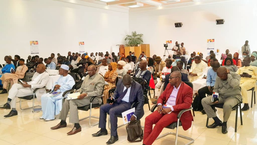 "Désinfox Tchad" mobilise des professionnels de l'information sur les outils et techniques de fact-checking