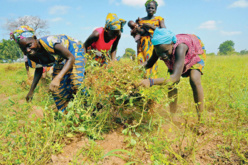 Le Sénégal s’interroge sur le partenariat entre l’Afrique de l’Ouest et l’UE