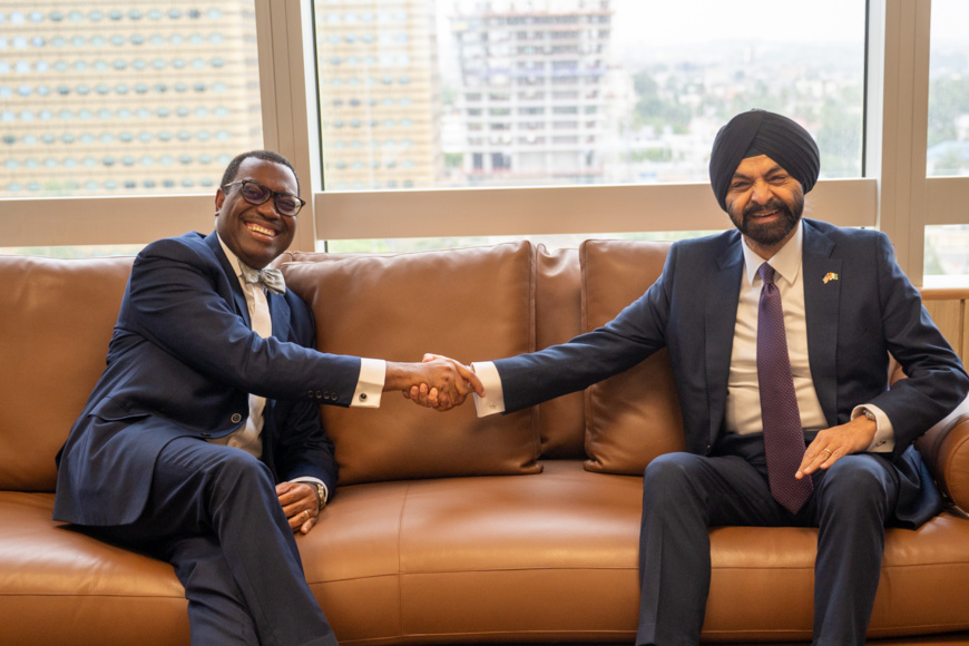 La BAD plaide pour un renforcement du rôle des banques multilatérales de développement au-delà de l’aspect financier