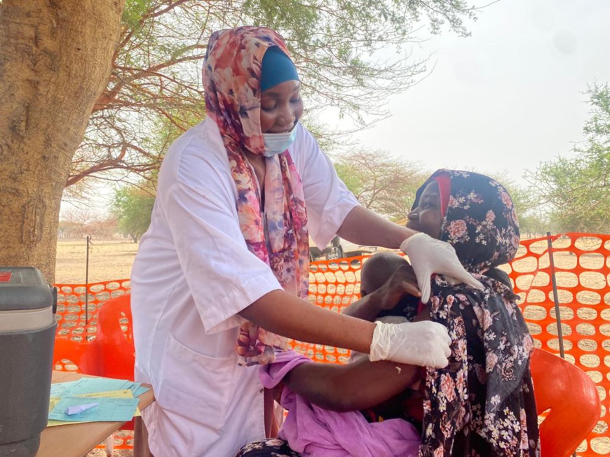 N'Djamena : MSF appuie le ministère de la Santé pour une campagne de vaccination chez les nomades N'Djamena : MSF appuie le ministère de la Santé pour une campagne de vaccination chez les nomades