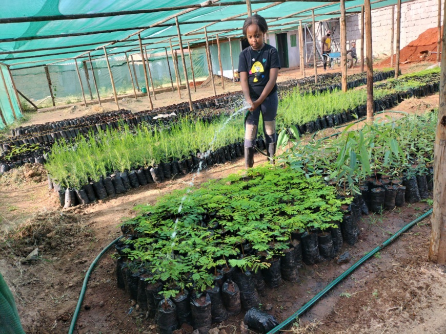Afrique : « le rôle des jeunes dans l'atténuation des changements climatiques est important » (Karen)