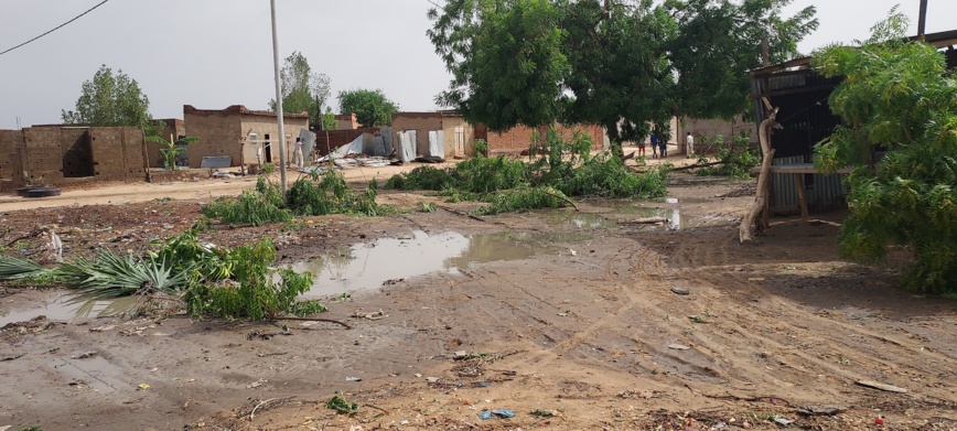 N'Djamena : la pluie et le vent font des dégats