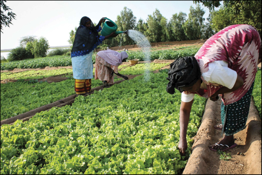 Entreprises dirigées par des femmes au Sahel : près de 1 million $ de dons de la BAD fondés sur le genre