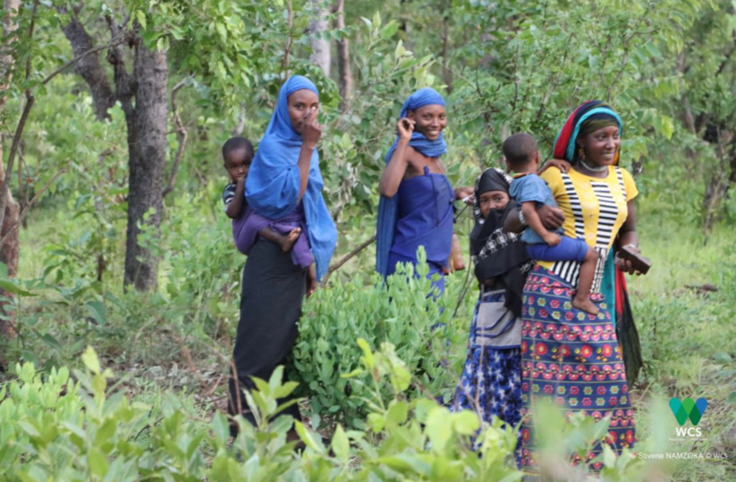 L’UNESCO désigne 11 nouvelles réserves de biosphère dont en RCA et au Cameroun